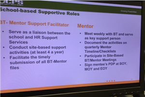 BTMSF Roles 